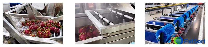 images/1741944776383fábrica de procesamiento de fruta del dragón.jpg